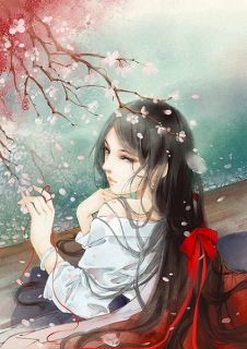 梁程美景高质量小说