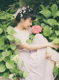 官道狂枭，从医术走向青云路！畅读全文版