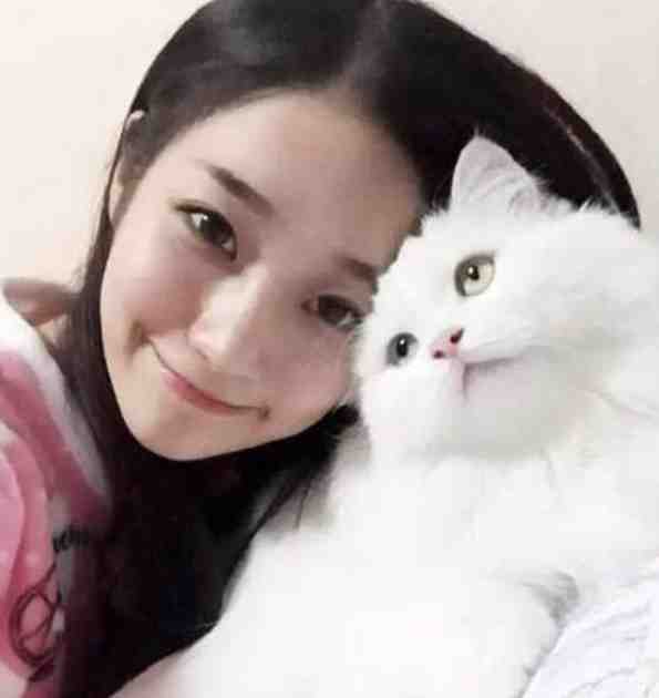 刚穿越，就奖励我葵花宝典？完整文集