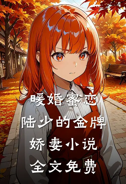 暖婚蜜恋陆少的金牌娇妻全文免费