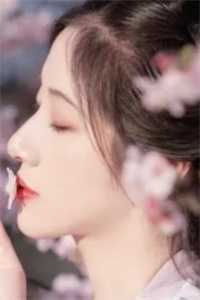 热门作品狂龙战婿