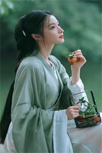布衣官场全本小说阅读