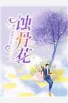 全章阅读布衣官场