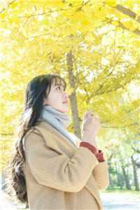 高质量小说离婚后，我被小鲜肉们围满了