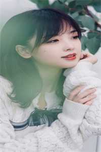 重逢：我与佳人共赏美景全文版