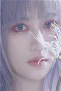 离婚后，我被小鲜肉们围满了长篇小说阅读