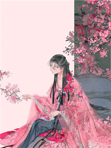 精品小说布衣官场