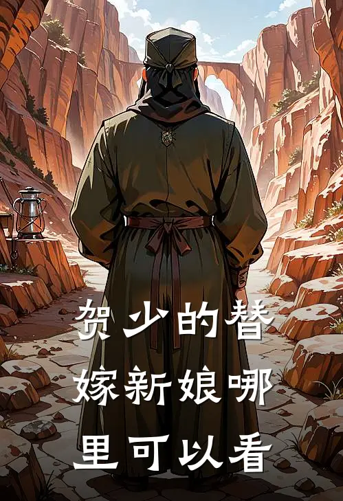 贺少的替嫁新娘女主角是谁
