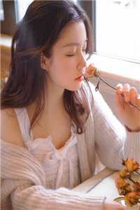 布衣官场是哪本