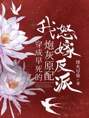 文章精选布衣官场全文