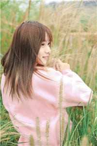 月上西楼雪满山谢淮安顾婉儿小说