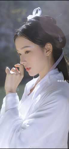 全本小说爱有深浅