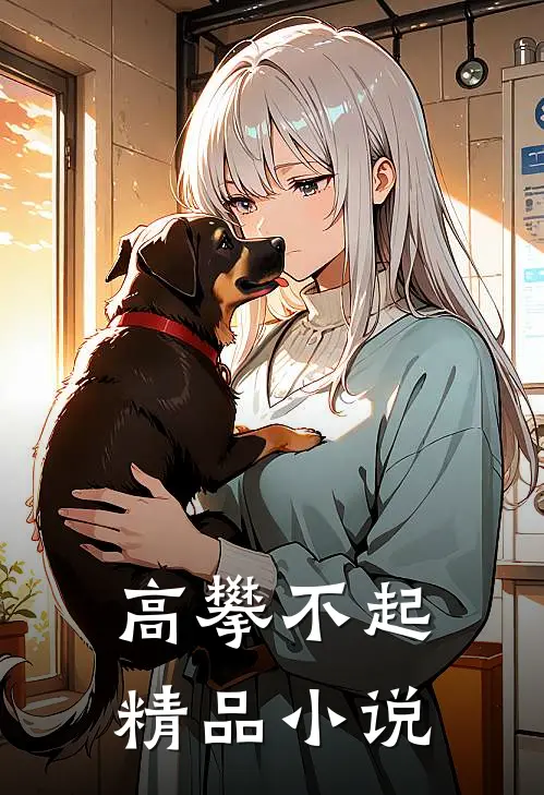 高攀不起精品小说