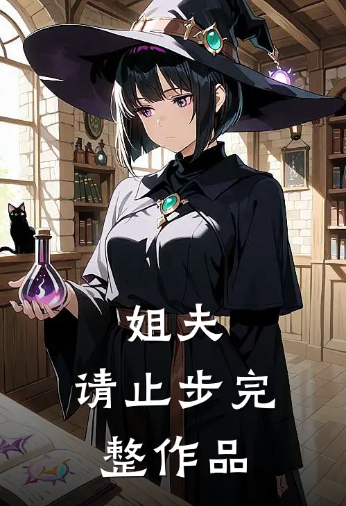 姐夫,请止步完整作品免费阅读
