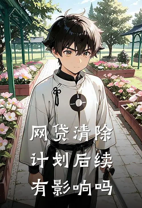 网贷清除计划后续有影响吗