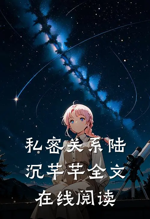 私密关系陆沉芊芊全文在线阅读