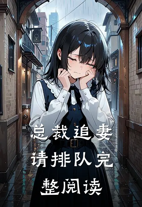 总裁追妻请排队完整阅读