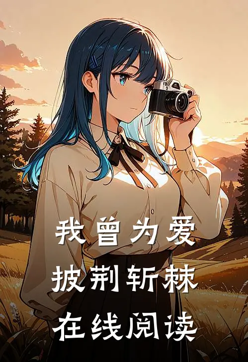 我曾为爱披荆斩棘在线阅读