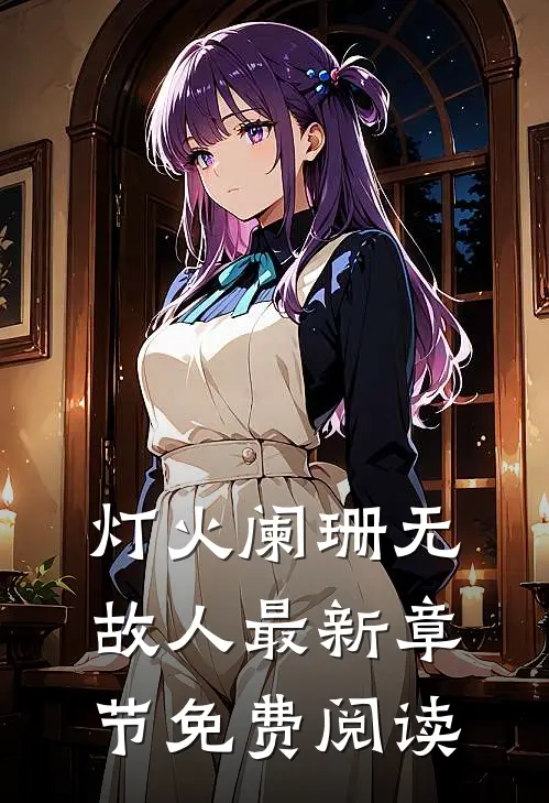 灯火阑珊无故人最新章节免费阅读