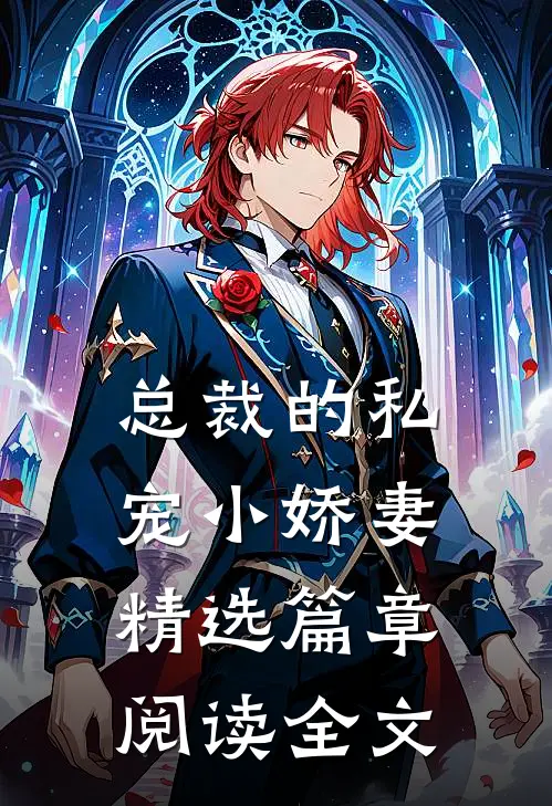 总裁的私宠小娇妻精选篇章阅读全文