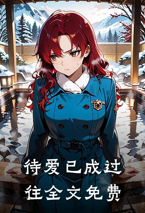 待爱已成过往全文免费