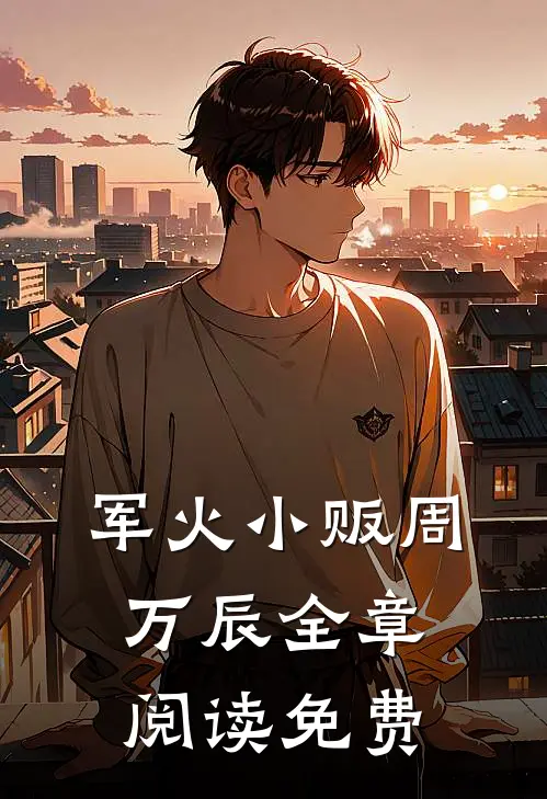 军火小贩周万辰全章阅读免费