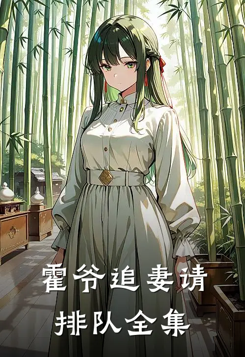 霍爷追妻请排队全集