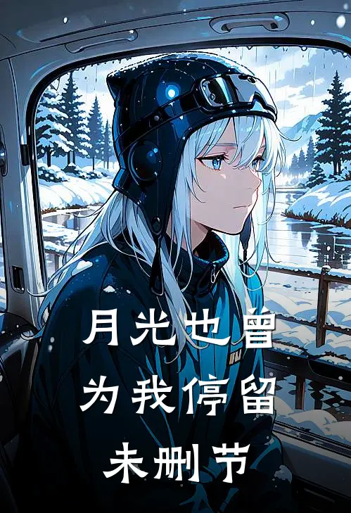 月光也曾为我停留未删节