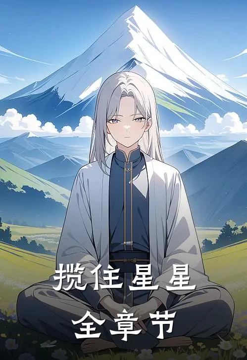 揽住星星全章节