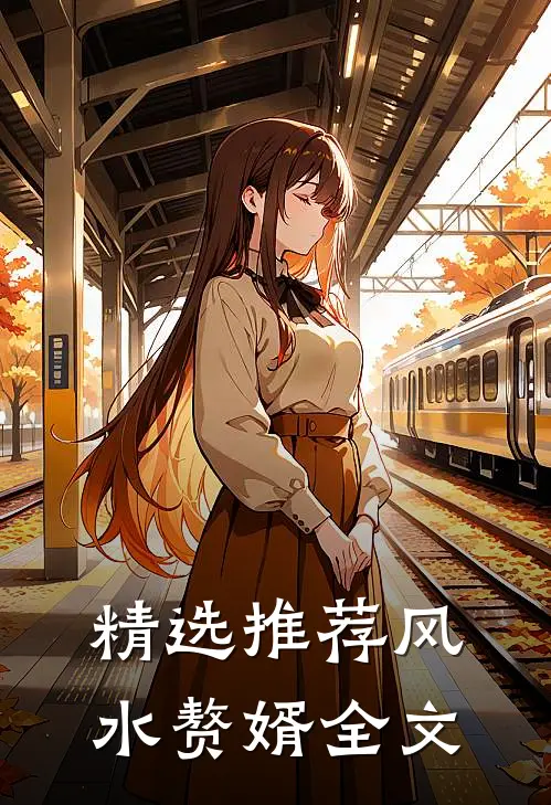 精选推荐风水赘婿全文