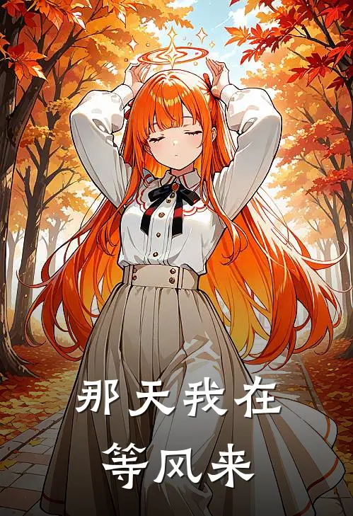 那天我在等风来
