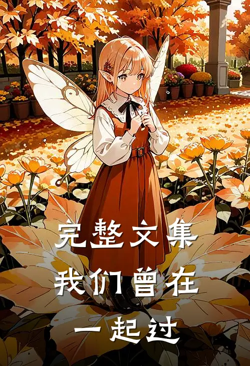 完整文集我们曾在一起过