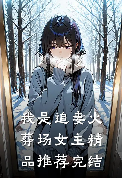 我是追妻火葬场女主精品推荐完结