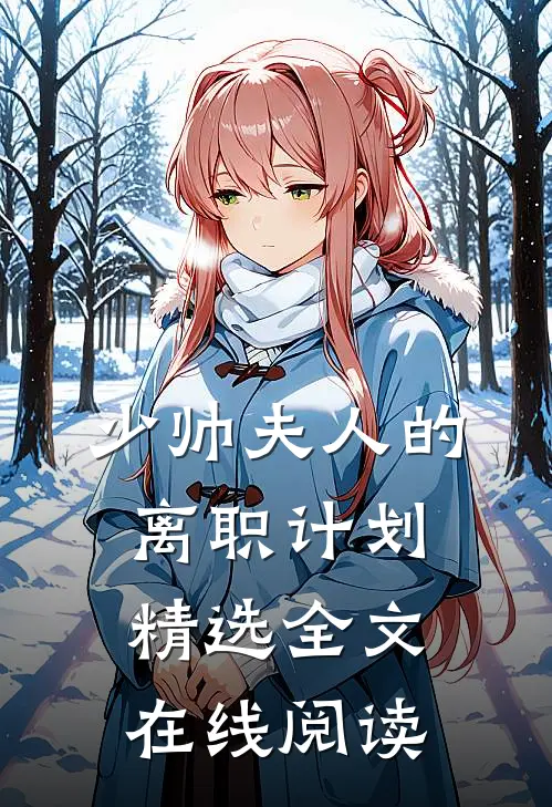 少帅夫人的离职计划精选全文在线阅读