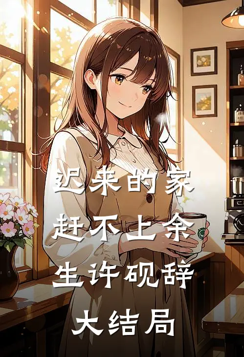 迟来的家，赶不上余生许砚辞大结局