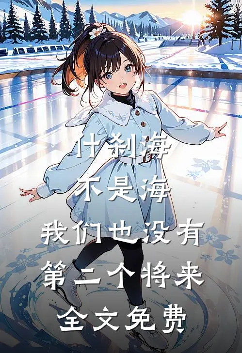 什刹海不是海，我们也没有第二个将来全文免费