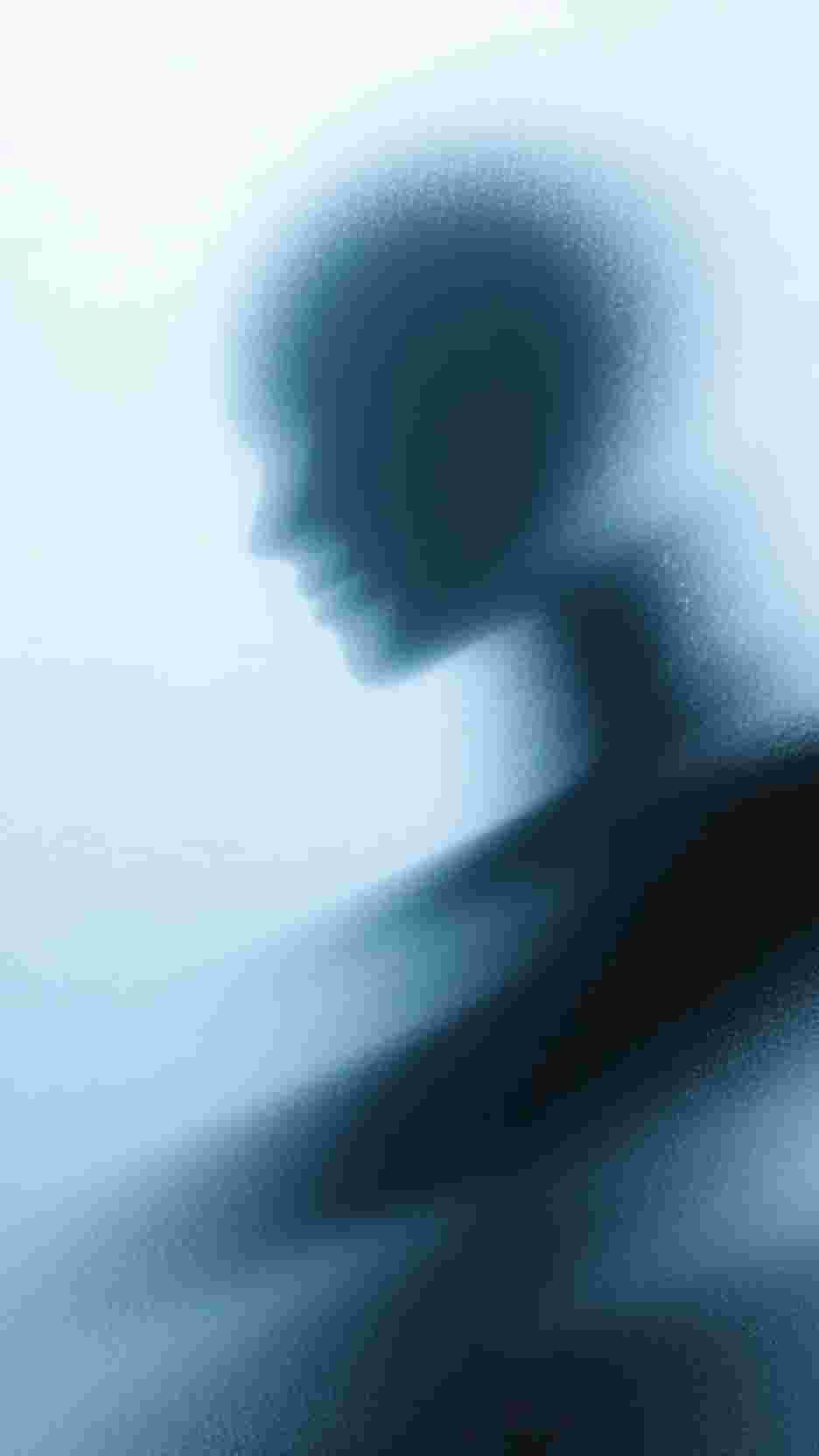 爱妃不擅争斗，朕只好专宠全文免费