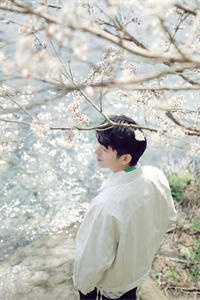 长风怨痴人爆火全网