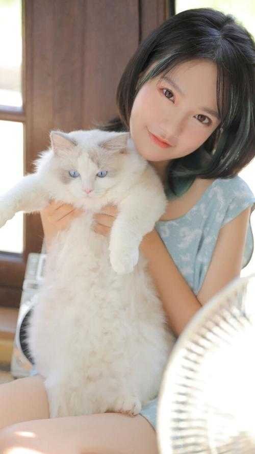 情似残梦随风逝热门推荐