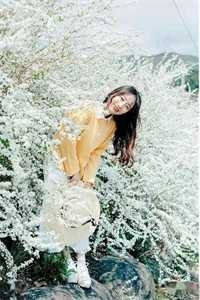 爱妃不擅争斗，朕只好专宠全章节阅读