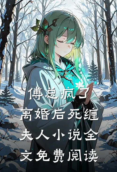 傅总疯了,离婚后死缠夫人全文免费阅读