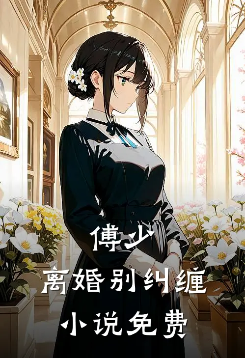 傅少,离婚别纠缠免费