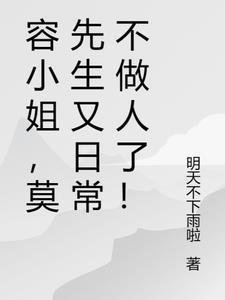 风月人间共白头免费阅读
