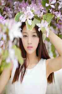 军犬拼死护主，五位将军叔叔泪崩连载