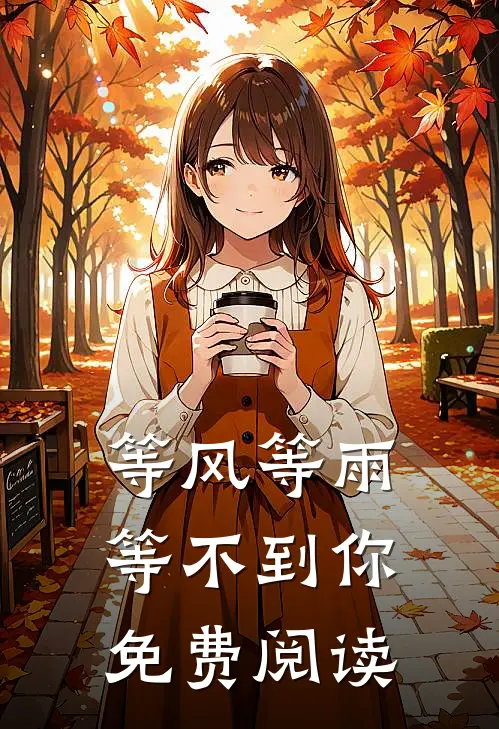 等风等雨等不到你免费阅读