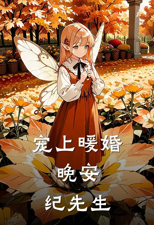宠上暖婚晚安,纪先生