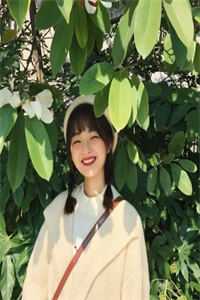 夏日沉于旷野高口碑