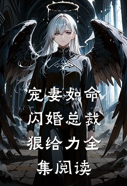 宠妻如命闪婚总裁狠给力全集阅读免费