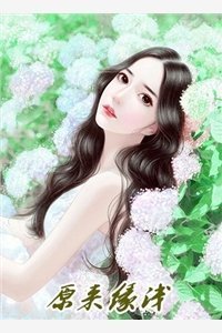 梨花落尽，云散夜未明前言+后续