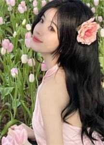 浮生未歇，不如既往小说全文免费